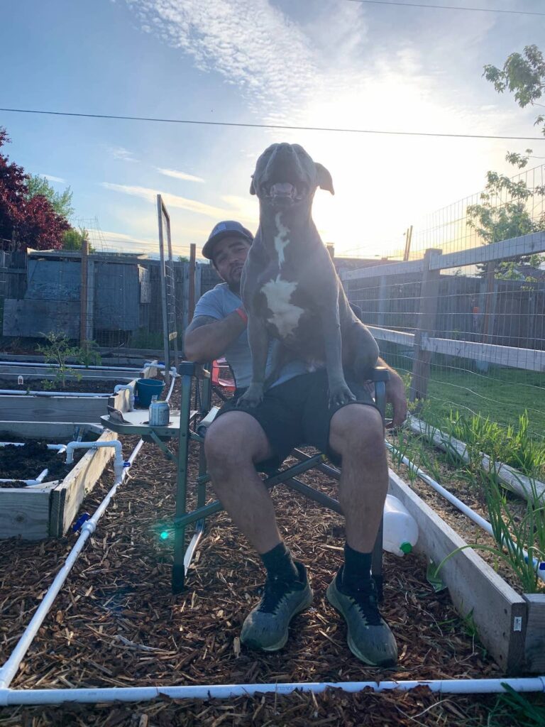 Puppies hanging out in the garden. 