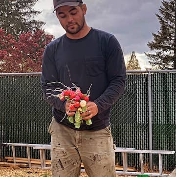 Fall time crop - Radishes